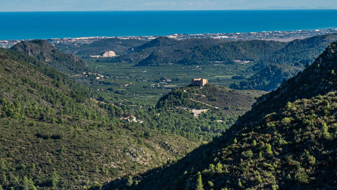Ruta Oliva Safor y Valles - Tracks And Pedals