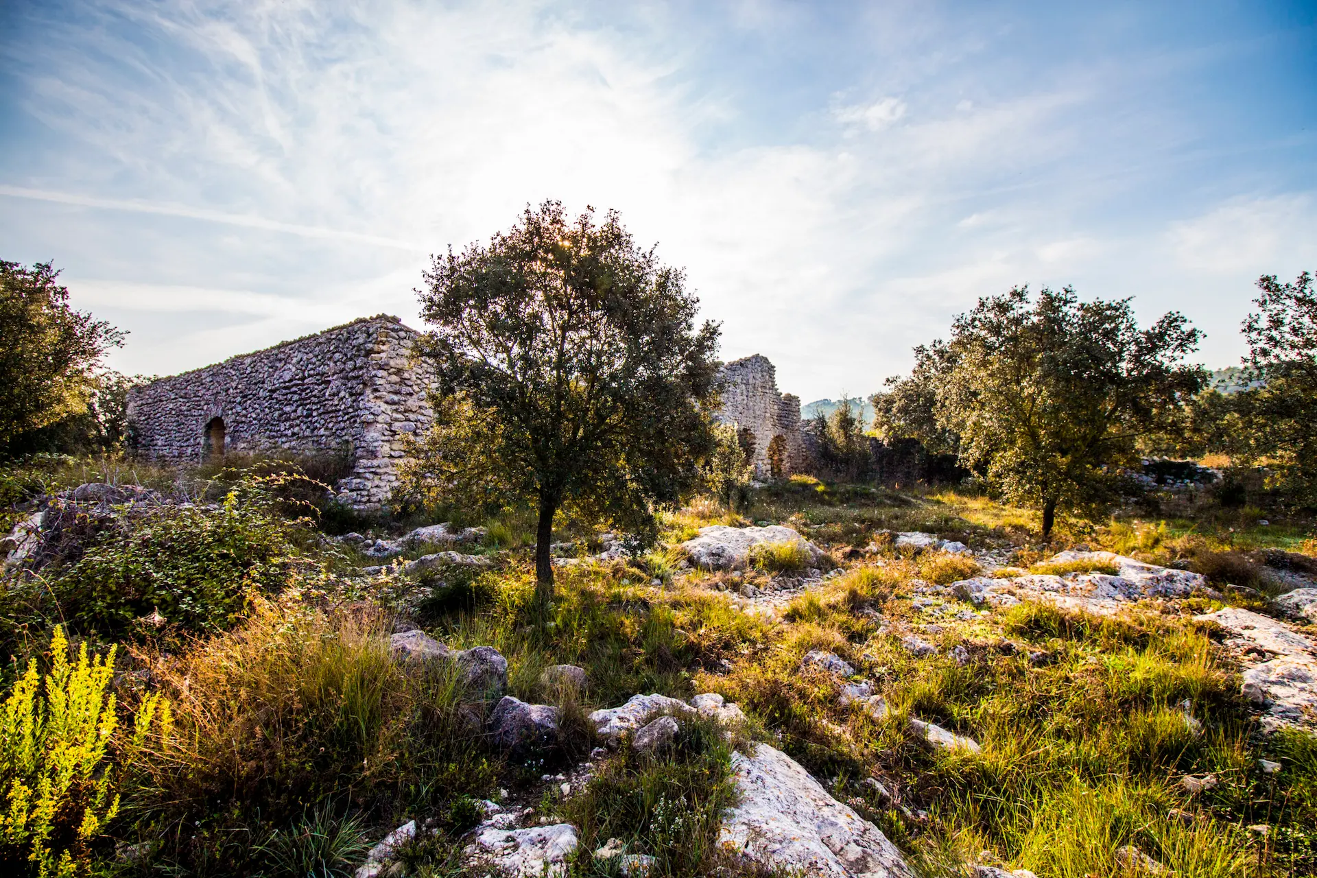 Ruta Font Salada Mountain Biking - Oliva