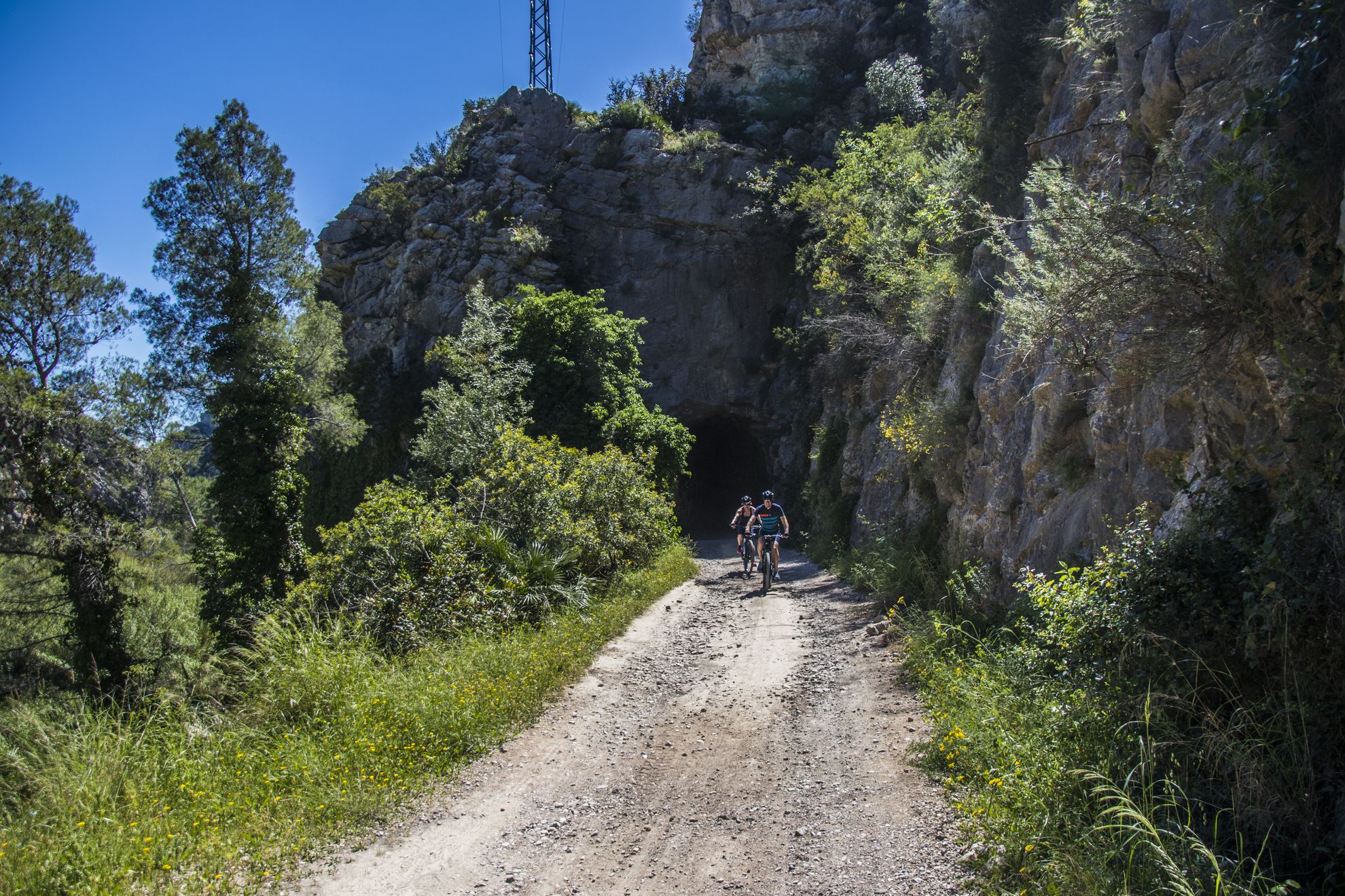 Bicycle rental service in Oliva - Coastal rides